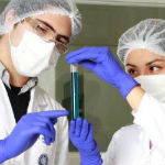 Crean droga para enfermedades neurodegenerativas de derivado del tabaco y aceite de krill