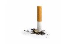 “Control del tabaquismo no es sólo tema de salud, sino de justicia social y desarrollo económico”