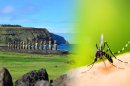 Ministerio de Salud confirma nuevo caso de dengue en Isla de Pascua