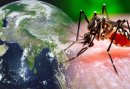 IPSUSS te invita a nuestro Coloquio: Zika, Dengue y Chikungunya: Las nuevas amenazas