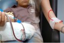 Faltan 10 mil donantes de sangre para estabilizar stock hospitalario
