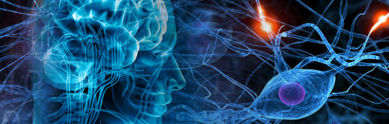 50 millones de personas en el mundo padecen epilepsia