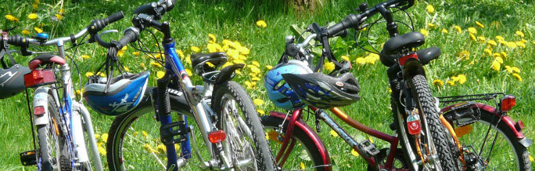 Moverse en bicicleta: ¿Cómo elegirla y cuándo usarla?