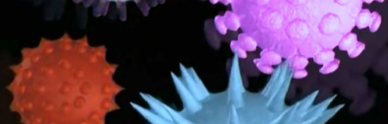 Conoce los virus respiratorios más comunes en invierno y cómo nos afectan