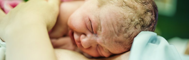 Ministerio de Salud emitirá norma para protocolizar los distintos tipos de partos