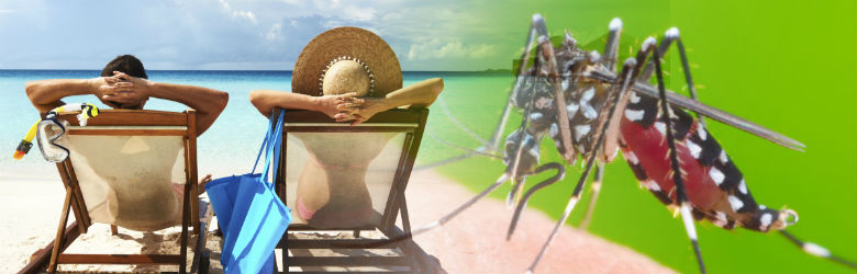 Vacaciones en el extranjero: vacunas y recomendaciones a considerar