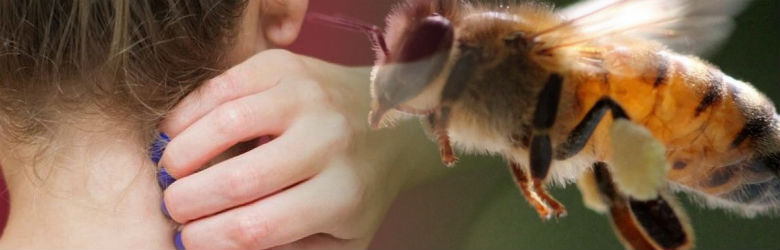 ¡Cuídese de las reacciones alérgicas a las picaduras de abejas!