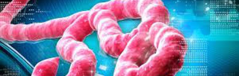 OPS/OMS enfatiza la necesidad de preparar al personal de salud en la identificación y manejo de casos de ébola