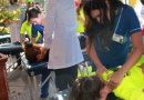 Carrera de Kinesiología de la USS es acreditada por 5 años