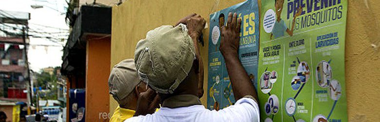Fiebre Chikungunya: Ministerio de Salud confirma 19 casos de personas contagiadas