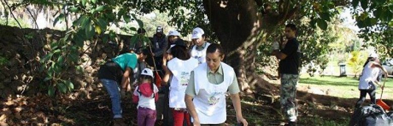 Minsal decreta alerta sanitaria en Rapa Nui por caso de dengue autóctono
