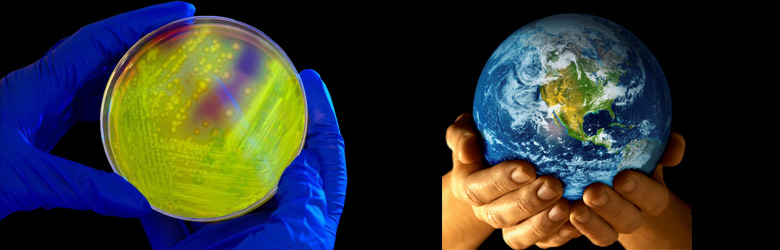 ¿Cuántas muertes por infecciones habrá al 2050?