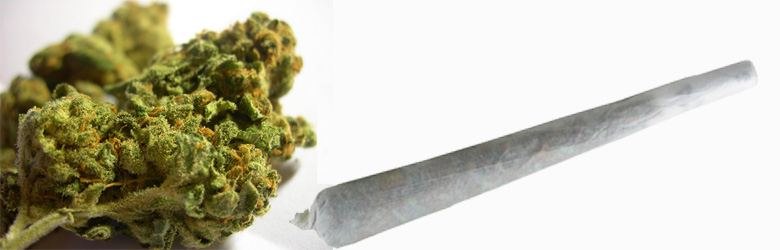 Se dispara consumo de marihuana en Chile