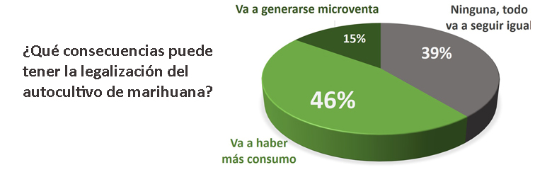 ¿Y después de legalizar la marihuana?