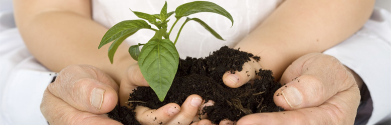 Preocupación escolar por la temática ambiental Preocupación escolar por la temática ambiental