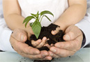 Preocupación escolar por la temática ambiental
