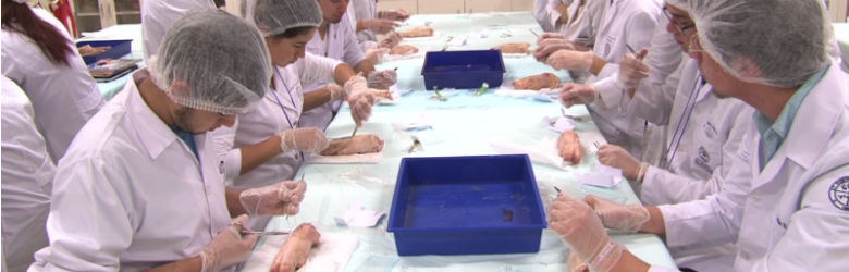 Primer curso de nudos y suturas para los futuros profesionales de la salud