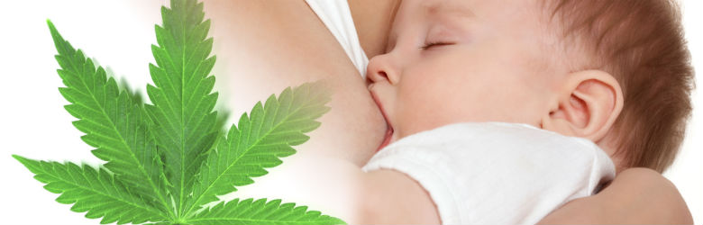 Consumo de Marihuana durante el embarazo y lactancia