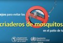 Zika: Cómo evitar los criaderos de mosquitos en tu patio