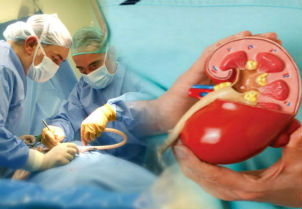 XIV y X regiones: Ocho de cada 10 personas está dispuesta a donar sus órganos después de fallecida