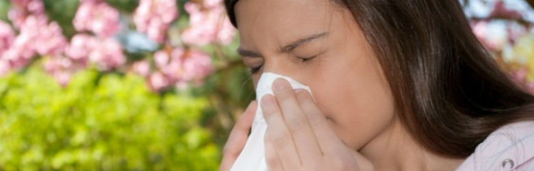 Tres componentes naturales para combatir la alergia de primavera