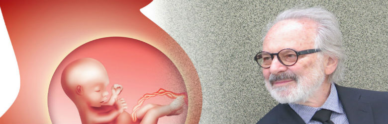 Padre de psicología prenatal: “Si un niño es concebido en el amor u odio, hace la diferencia”