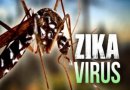 Atención viajeros: Brote de virus Zika continúa a un año de la emergencia mundial