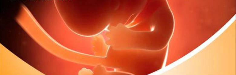 Cómo evitar que la diabetes gestacional sea una herencia para hijos y nietos