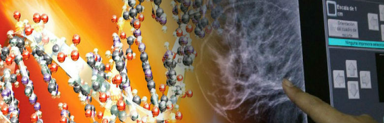 Evaluarán impacto del AUGE en la mortalidad y sobrevida de cinco tipos de cáncer en Chile