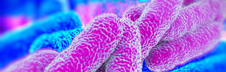 Brote de Legionella en EE.UU y Portugal ¿puede presentarse en Chile?