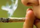 Estudio del Senda revela aumento de 215% en consumo de marihuana en seis años