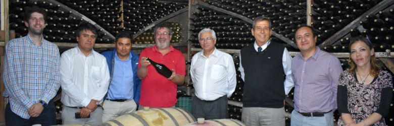 Grupo de investigadores de USS Concepción potenciará calidad de vinos regionales