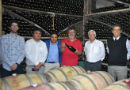Grupo de investigadores de USS Concepción potenciará calidad de vinos regionales