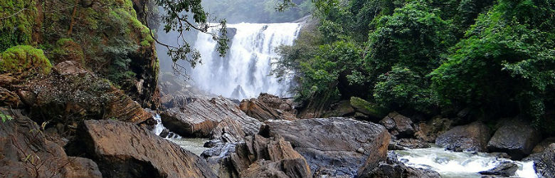 Nueva cultura del agua: un desafío que nos convoca a todos