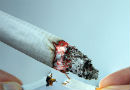 Día Mundial Sin Tabaco: Las sustancias tóxicas que contiene el cigarrillo