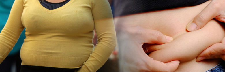 FAO: Mujeres chilenas mayores de 18 años son las más obesas de Sudamérica