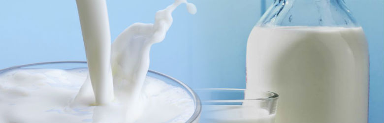 ¿Por qué cuando crecemos dejamos de consumir leche?