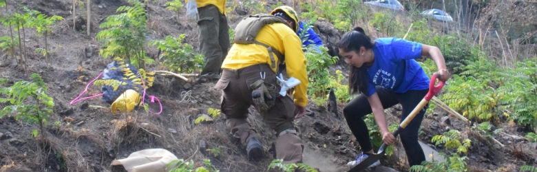 USS fue parte del inicio del Plan de Reforestación del Parque Metropolitano