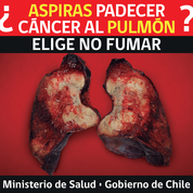 Imagen foto_00000003