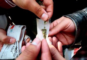 Senda: universitarios consumen el doble de drogas y alcohol que escolares