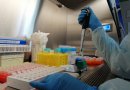 Chile supera los 10 millones de exámenes PCR procesados