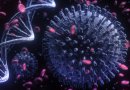 Las cinco variantes del coronavirus que han llegado a Chile