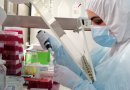 USS ha procesado más de 230 mil exámenes PCR en sus laboratorios