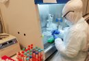 ¿Cómo se pesquisa el SARS-CoV-2 en un laboratorio?