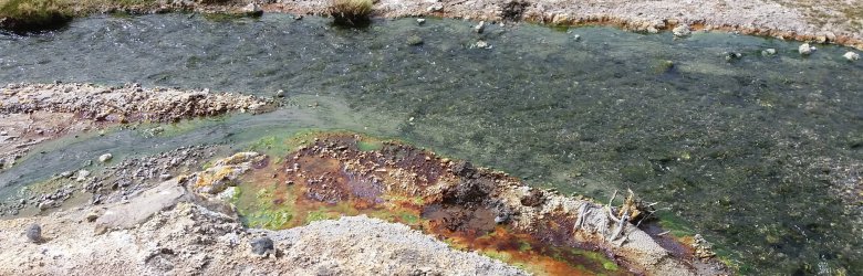 Bacterias que “comen” contaminantes y purifican aguas