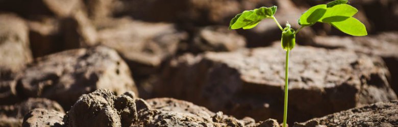 Cambio climático: 75% de la superficie de Chile está afectada por la sequía