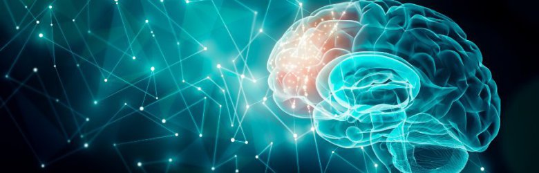 Cómo la neurociencia computacional ayuda a descifrar el funcionamiento del cerebro